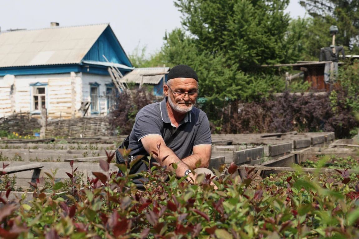 В Екатеринбурге в городском питомнике выращивают кизил и барбарис -  «Уральский рабочий»